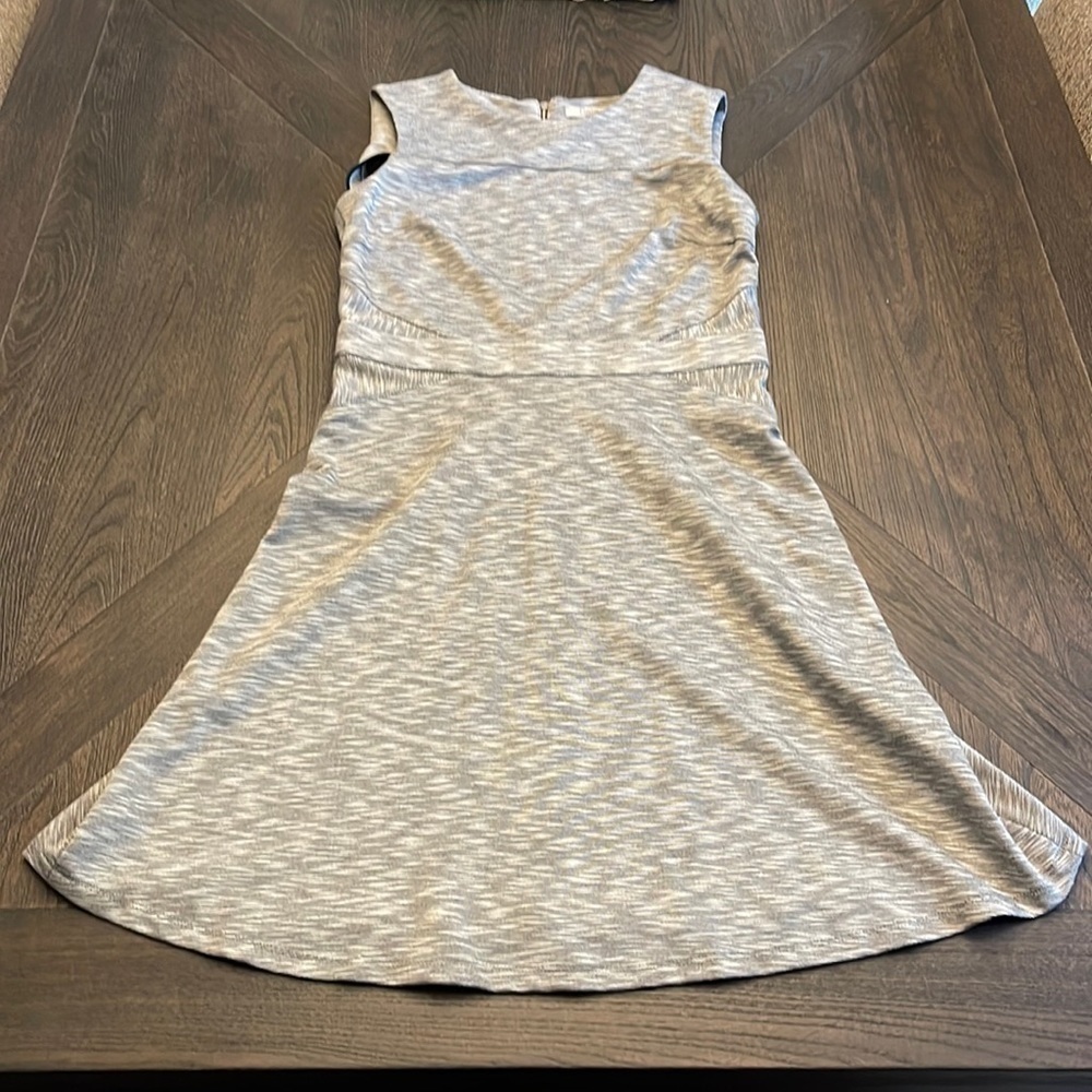 Dalia Gray Dress Size 4